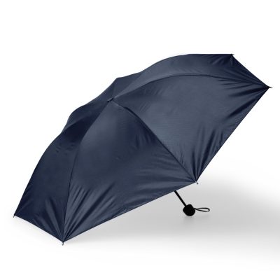 Guarda-Chuva-Manual-AZUL-18617-1744197305